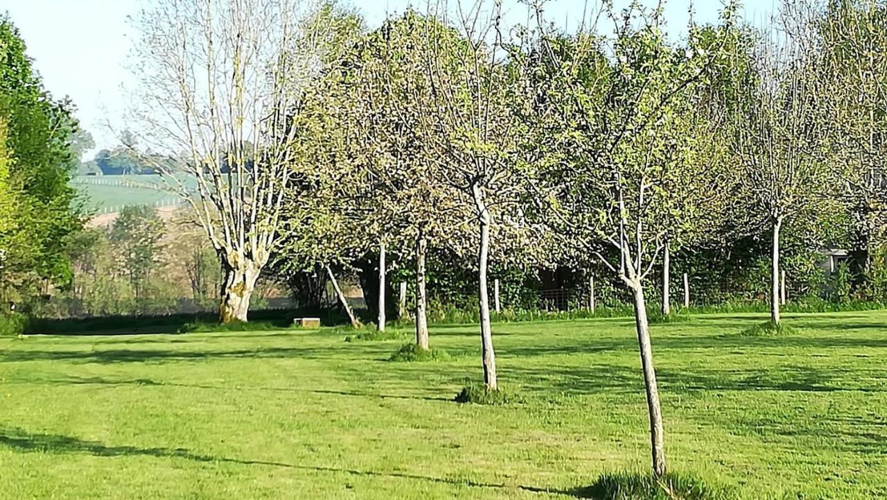 Sainte-Gauburge-Sainte-Colombe Au Bouton Dort B&B 외부 사진